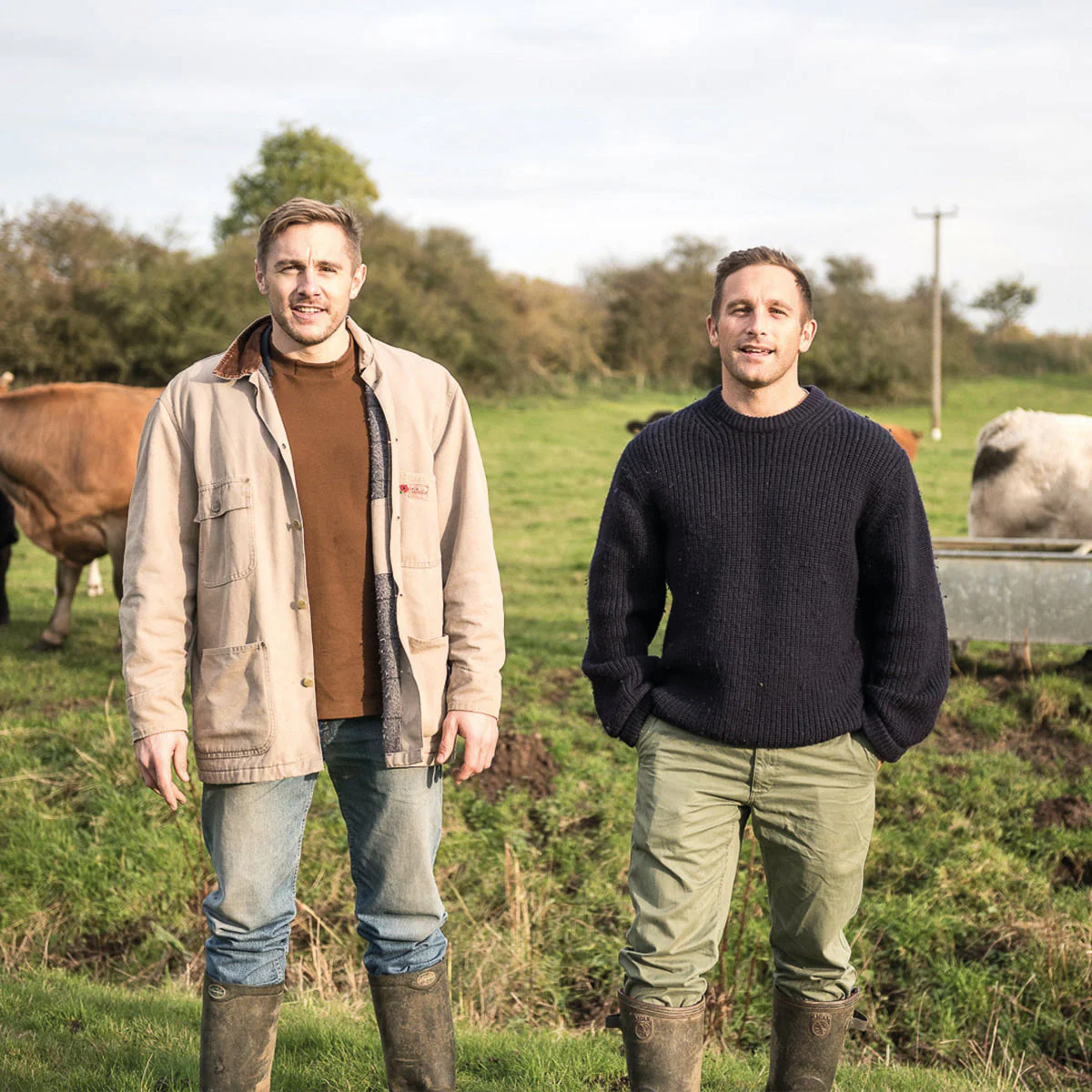 15 x 50g Biltong Original